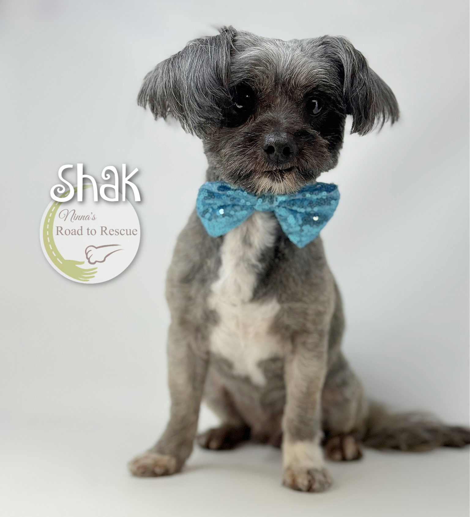 Shak Image