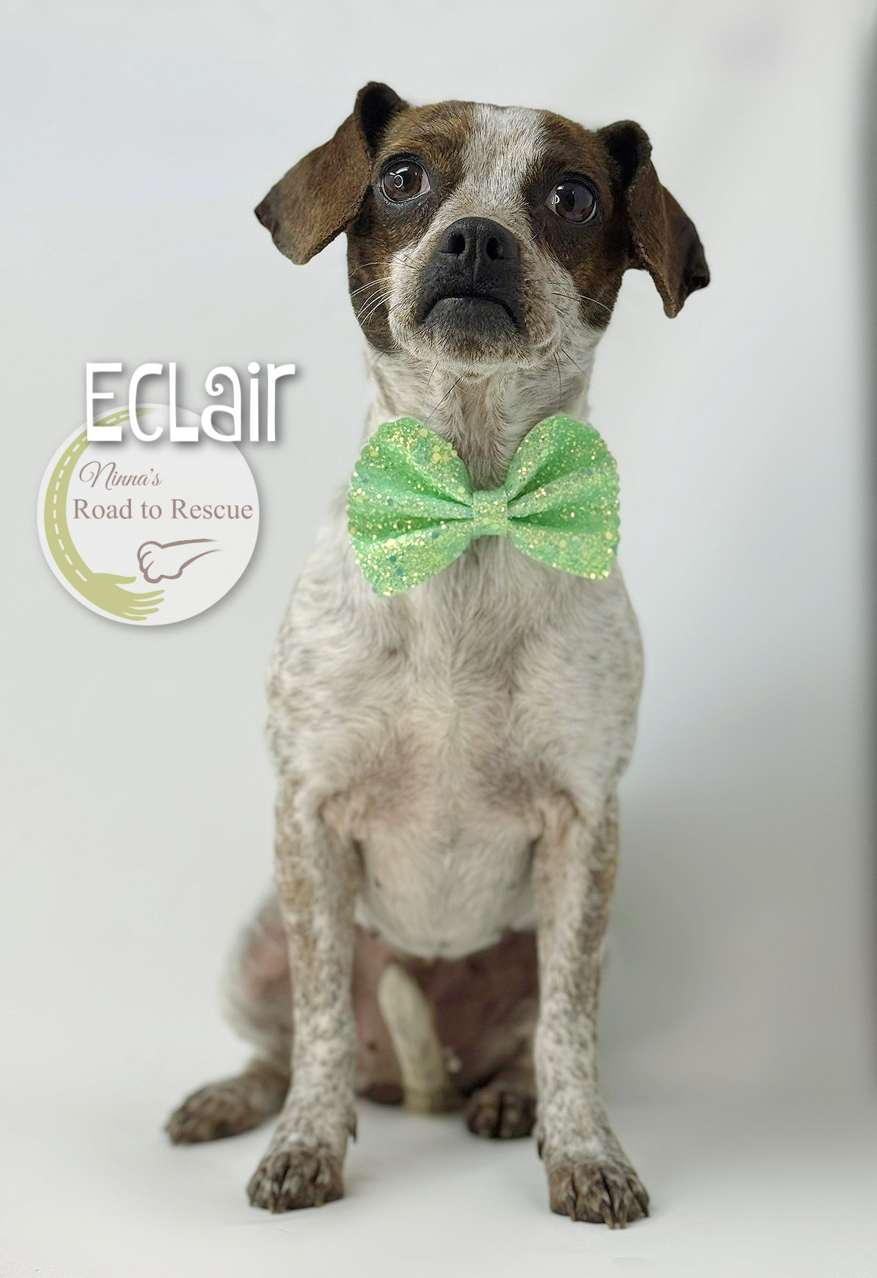 Eclair Image