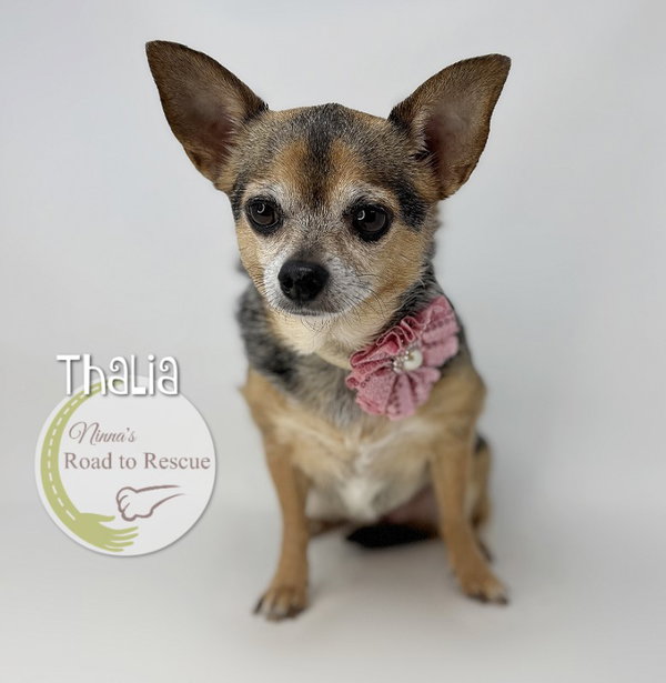 Thalia