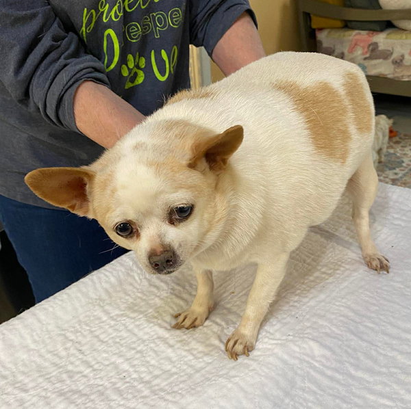 Mixxie (NOT YET AVAILABLE)