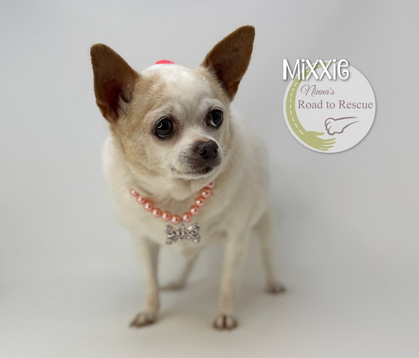 Mixxie