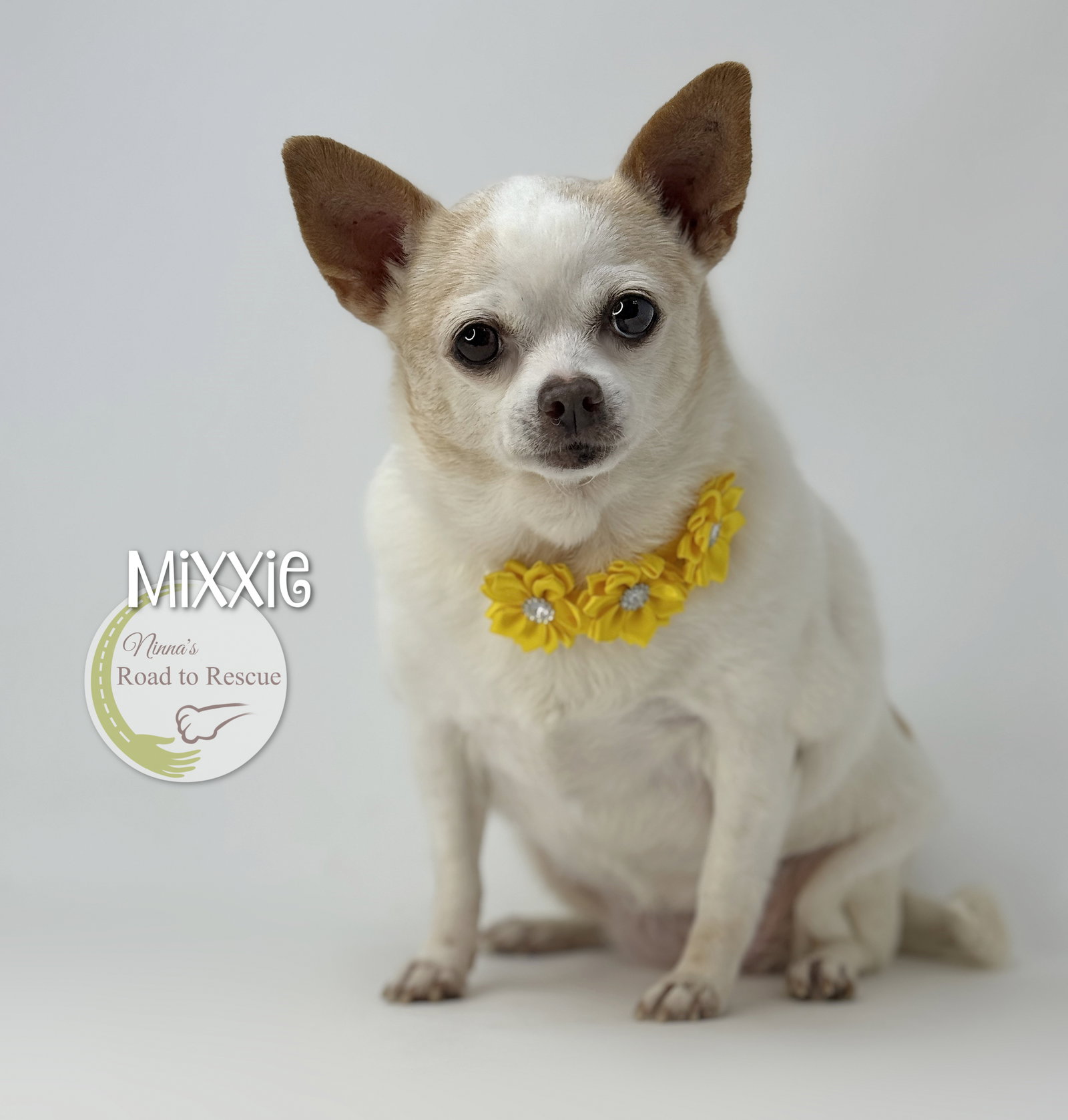 Mixxie