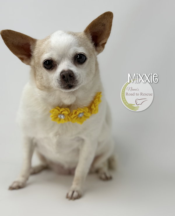 Mixxie
