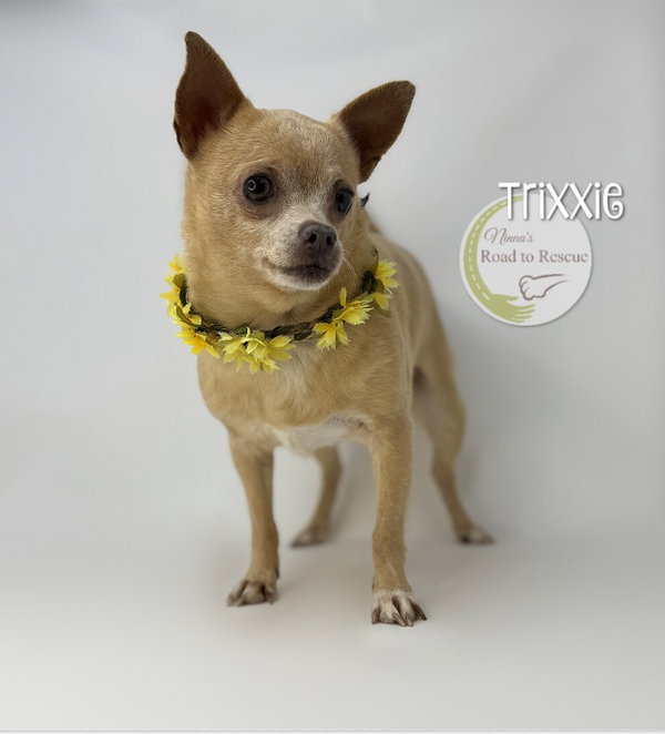 Trixxie