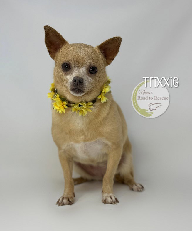 Trixxie