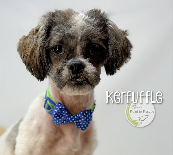 Kerfuffle