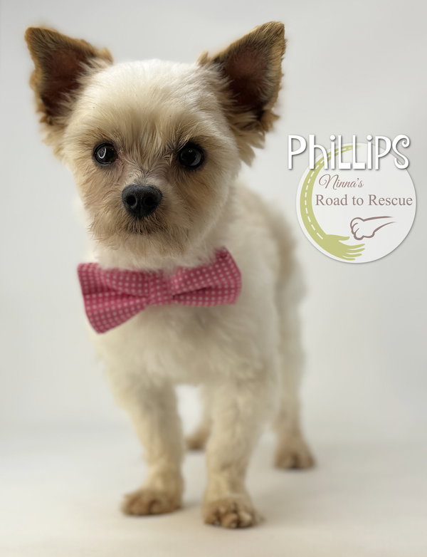 Phillips