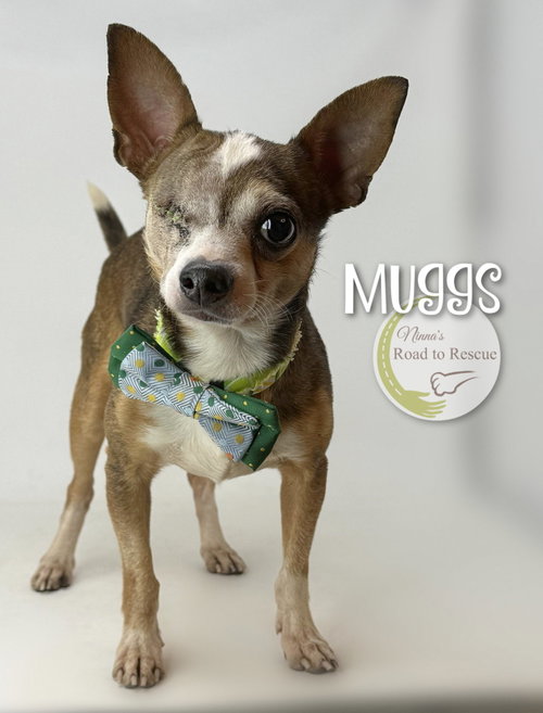 Muggs