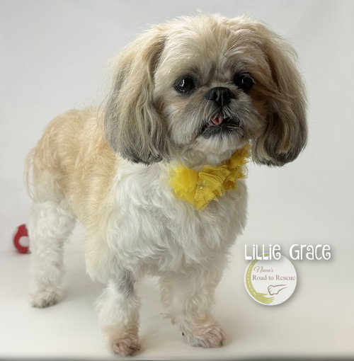 Lillie Grace, photo 2
