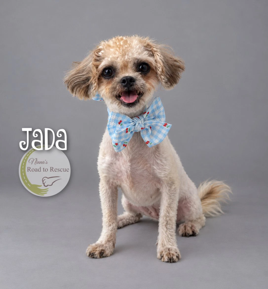 Jada