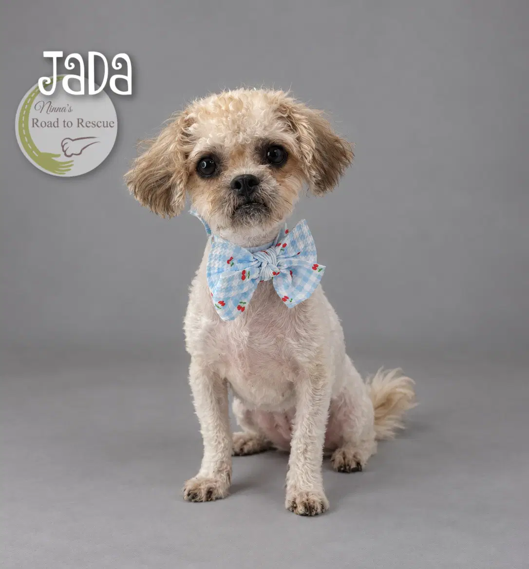 Jada image 3