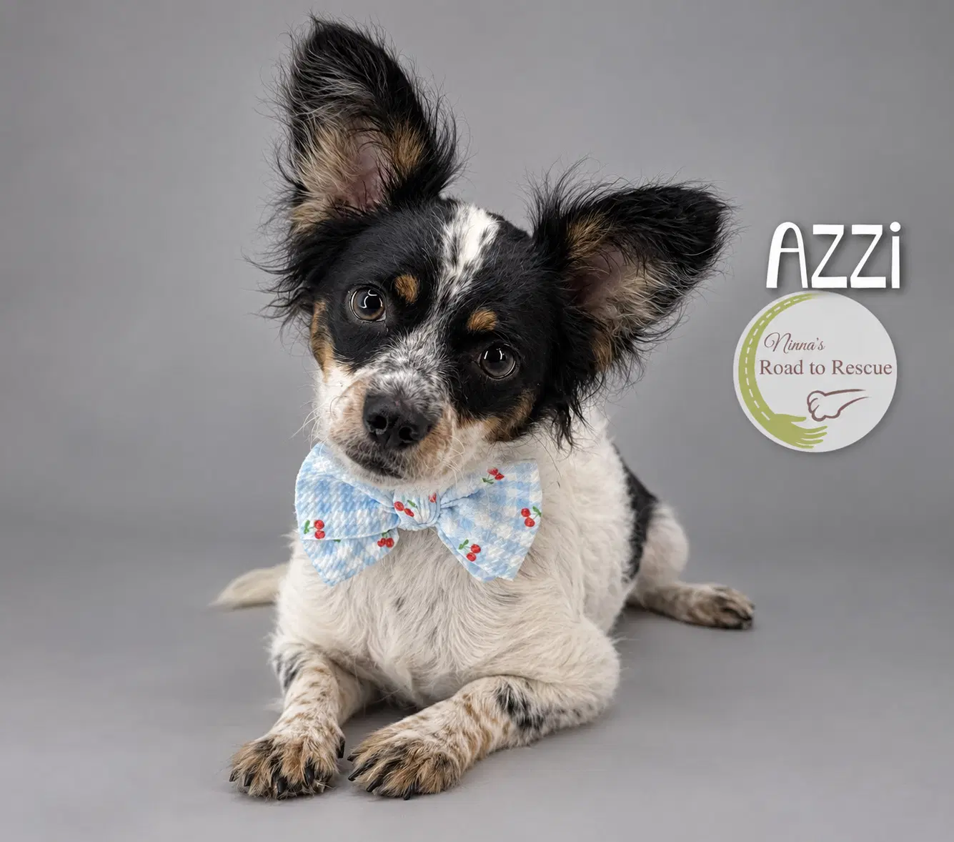 Azzi image 2