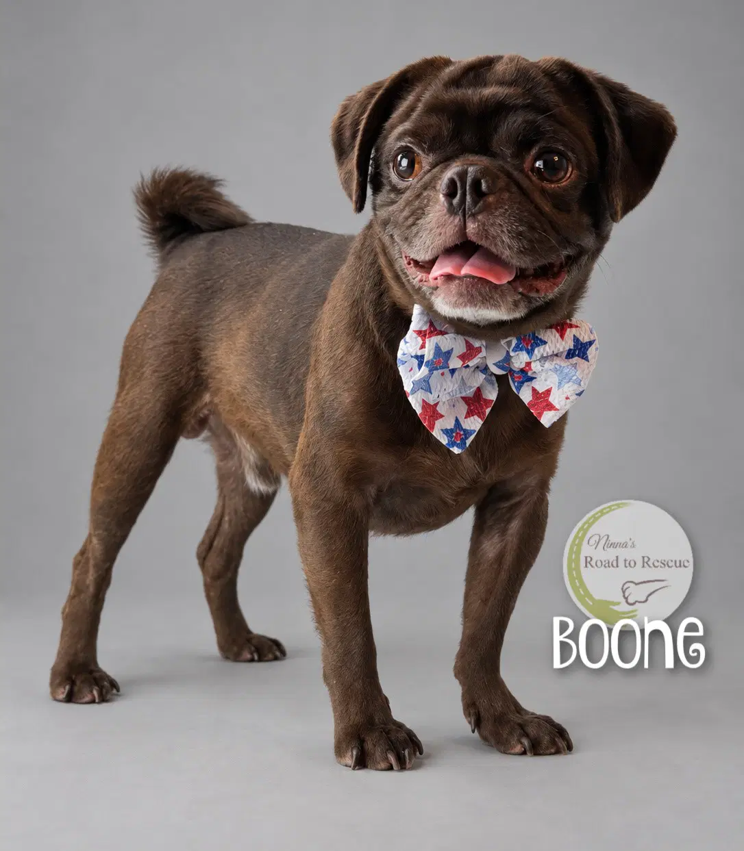 Boone image 2