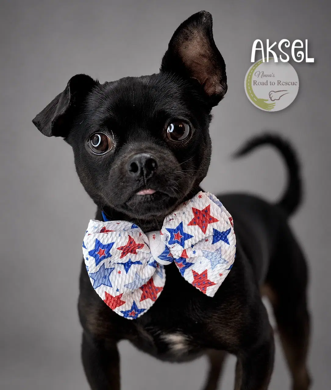 Aksel image 2