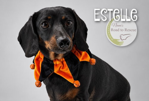 Photo 2 of Estelle