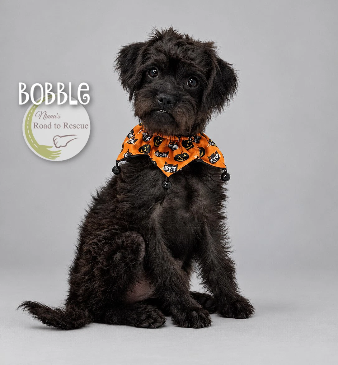 Bobble