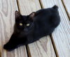 Dorothy - Photo 2