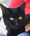 Dorothy - Photo 4
