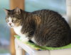 Bette - Photo 2