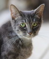 Skittles - Photo 2