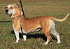Lillian - Photo 4