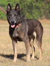 Molly - Photo 2