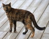 Marsha - Photo 2