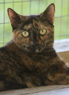 Marsha - Photo 3
