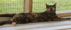 Marsha - Photo 4