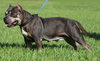May (Medical Hold HWT) - Photo 4