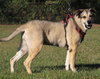 Tessa - Photo 2