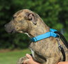 Hope - Photo 2