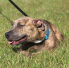 Hope - Photo 4