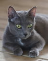 Judy - CSC - Photo 3