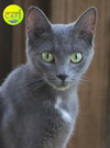 Judy - CSC - Photo 1