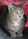 Frida - CSC - Photo 2