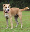 Booker - Photo 3