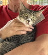 Joyce - CSC - Photo 3