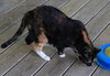 Bonnie - Photo 3