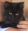 Baby - Photo 3