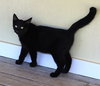 Pugsley - Photo 3