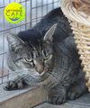 Annaliese - CSC - Photo 1