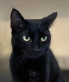 Wilma - Photo 2
