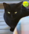 Hester - CSC - Photo 1