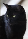 Hester - Photo 1