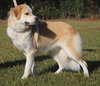 Jewel - Photo 3
