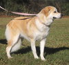 Jewel - Photo 4