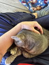 Smokey - Photo 4