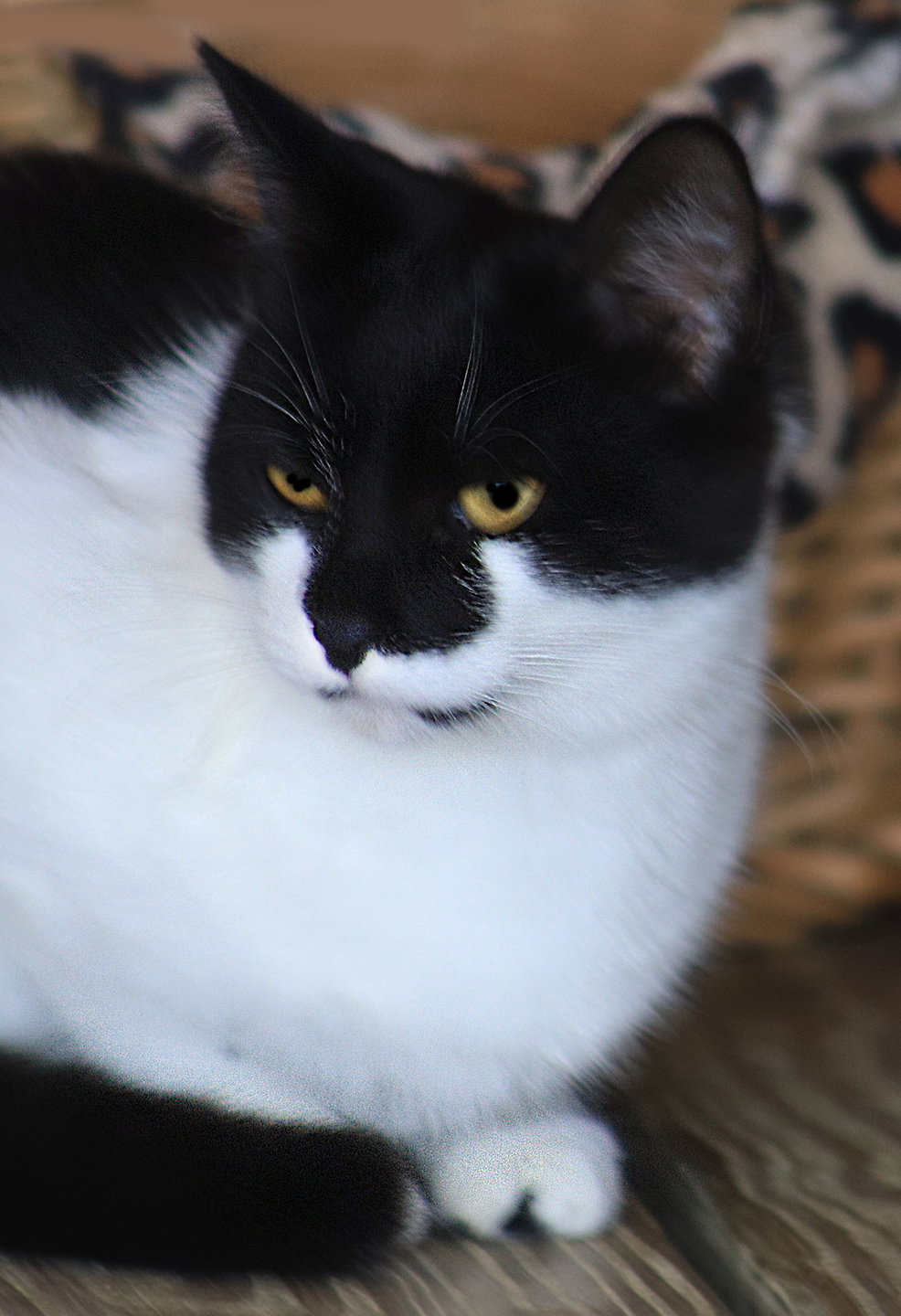 Jenny Image