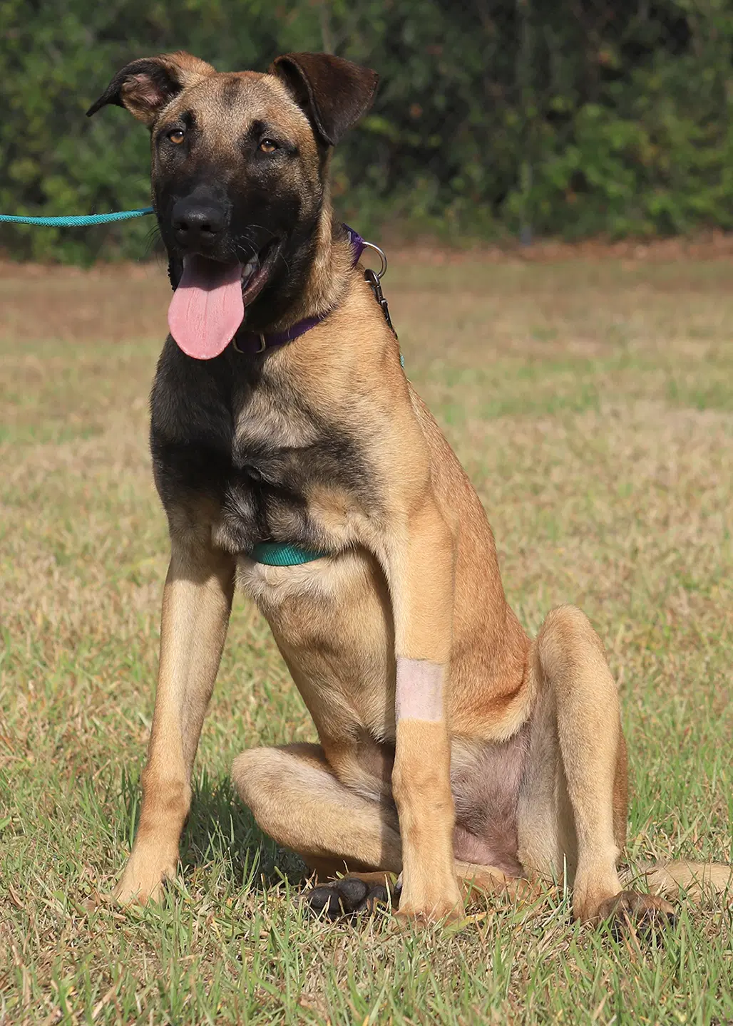 Kira image 2